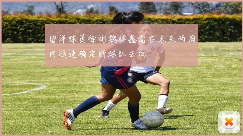 留洋球员徐彬魏祥鑫需在未来两周内迅速确定新球队去向