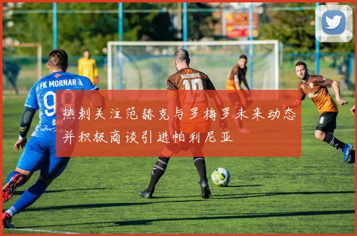 热刺关注范赫克与罗梅罗未来动态并积极商谈引进帕利尼亚